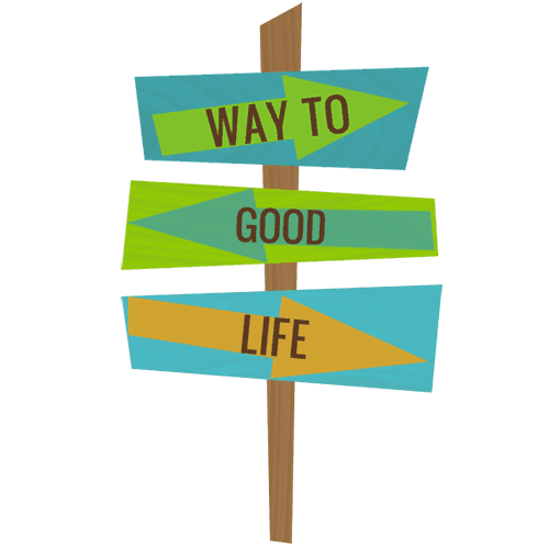 Front Facing, Hip Hugger, Back Baby Carrier