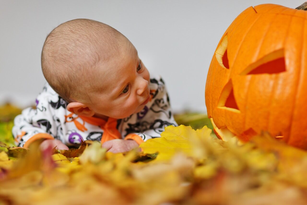  baby staring at a jack-o-lantern